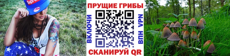 Псилоцибиновые грибы прущие грибы  Клин 