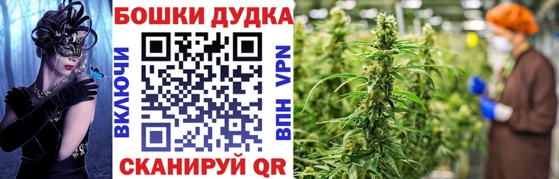 Шишки марихуана гибрид  Клин 